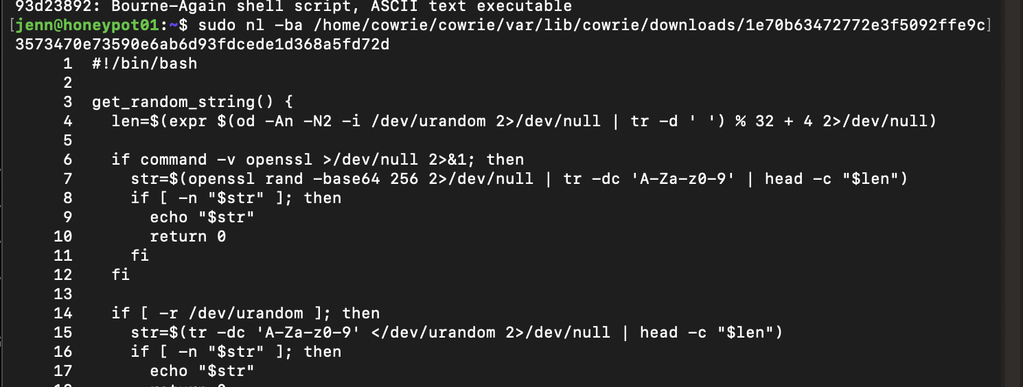 Captured setup script displayed with numbered lines
